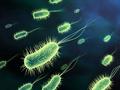 Инновационный метод позволяет убивать бактерии, устойчивые к антибиотикам
