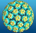 Около 26 000 случаев рака, ежегодно диагностируемых в США, вызвано инфекцией папилломавируса человека