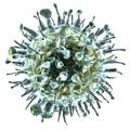 Ученые обнаружили белок, который может помочь в борьбе эпидемией гриппа