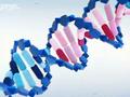 Еврокомиссия разрешила препарат, воздействующий на ДНК