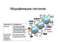 Вариации в ДНК не объясняют наследование всех черт родителей