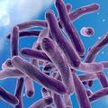 Анализ крови способен предсказать риск развития туберкулеза