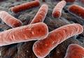 Otsuka и «Р-Фарм» заключили соглашения о производстве препарата против туберкулеза