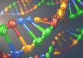 С помощью естественного отбора удалось получить новый белок, исправляющий одни генетические буквы в ДНК на другие