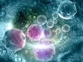 Обнаружен неожиданный механизм выживания раковых клеток