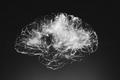 Падение уровня одного из нейростероидов, аллопрегнанолона делает мозг более чувствительным к стрессу и более склонным к депрессии